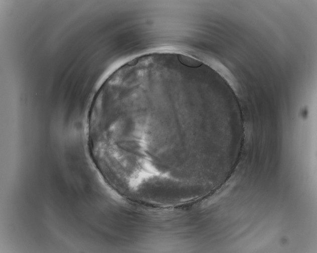 X0000100971428200807221158