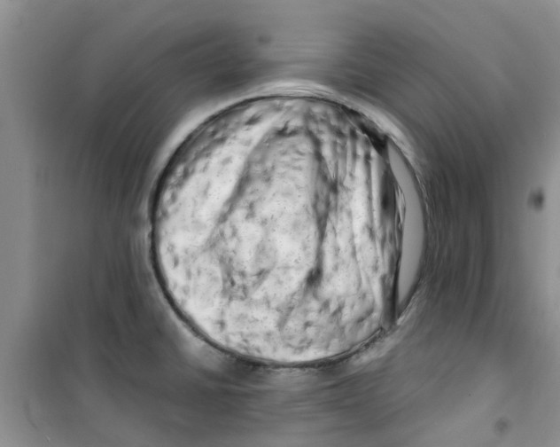 X0000100971430200807221159
