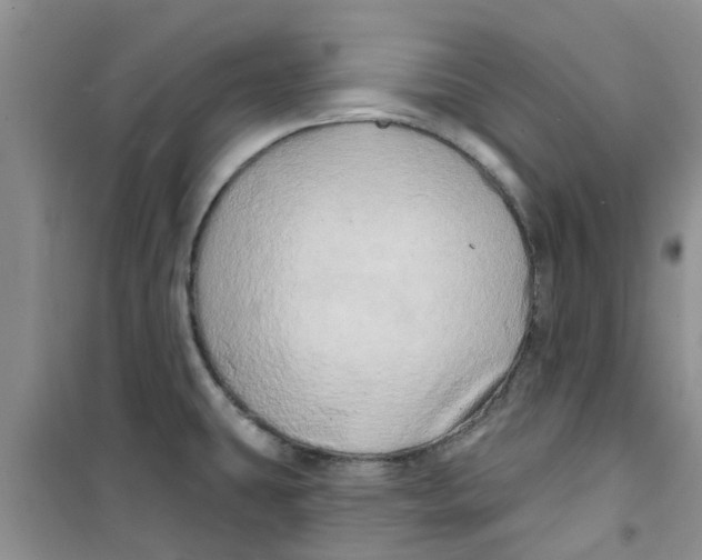 X0000100971431200807221159