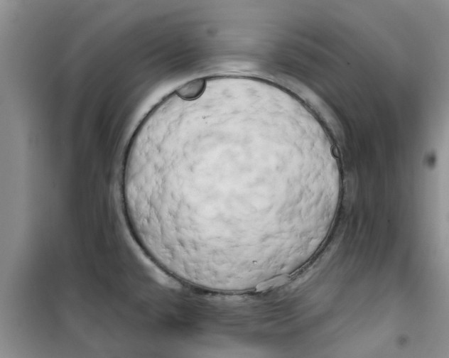 X0000100971432200807221159
