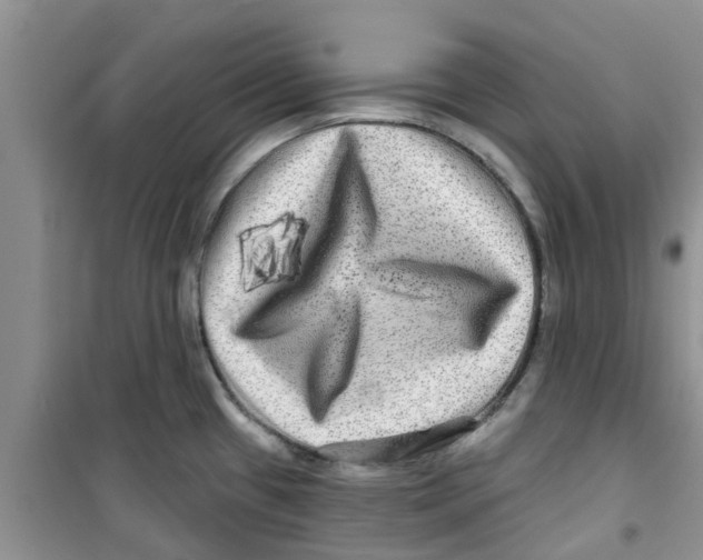 X0000100971433200807221159