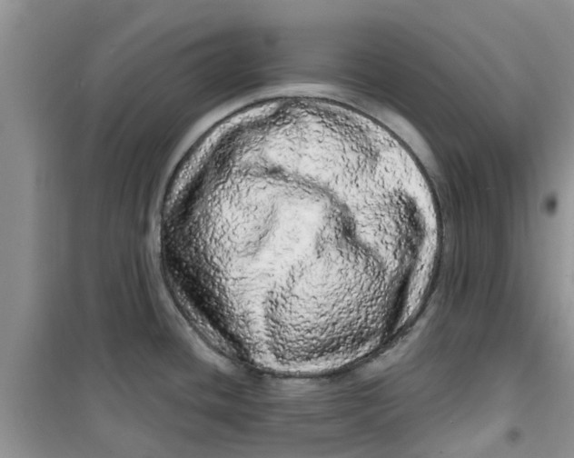 X0000100971436200807221159