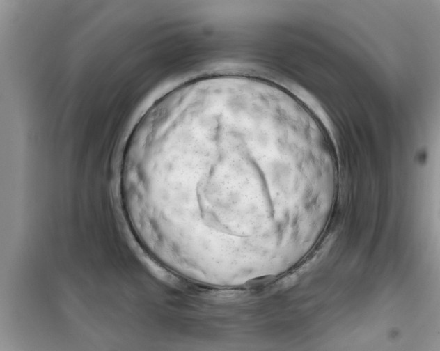 X0000100971437200807221159