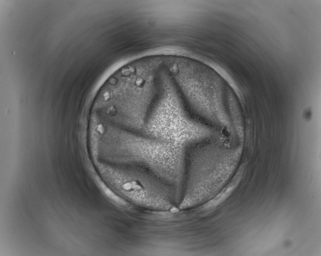 X0000100971438200807221159