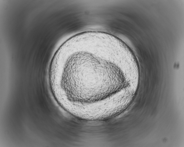 X0000100971440200807221159