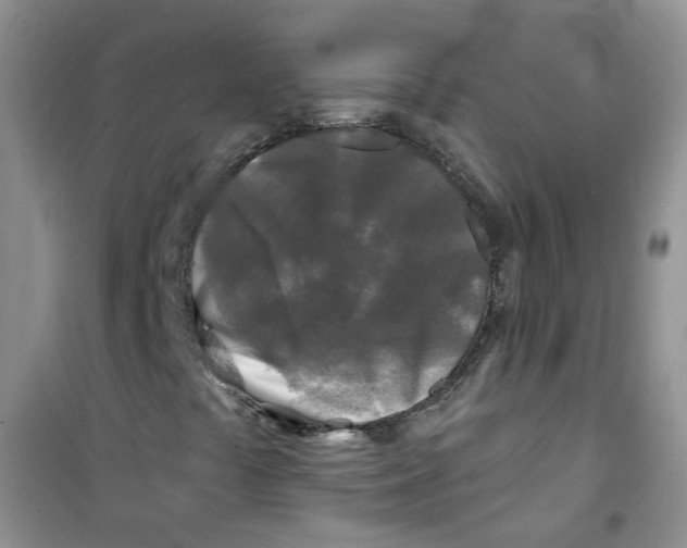X0000100971441200807221158