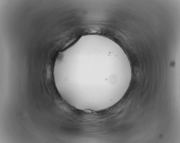 X0000100971442200807221158