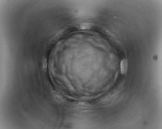 X0000100971443200807221158