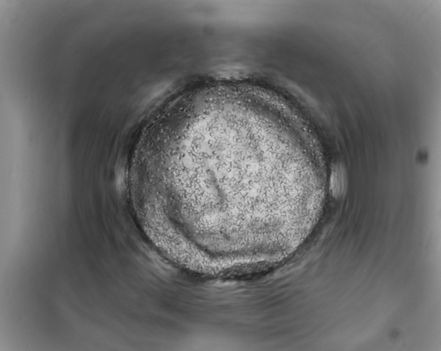 X0000100971444200807221158