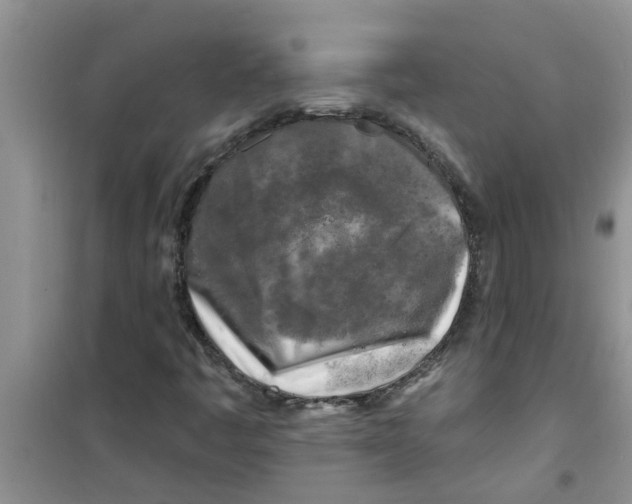X0000100971445200807221158