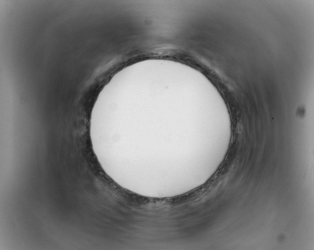 X0000100971447200807221158