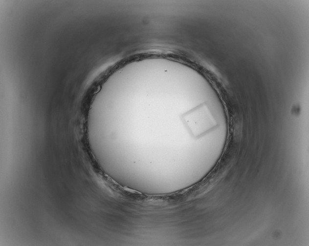 X0000100971448200807221158