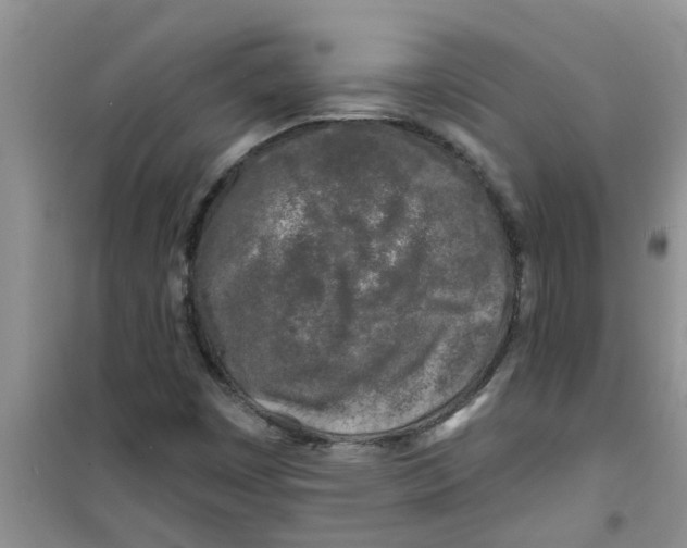 X0000100971449200807221158