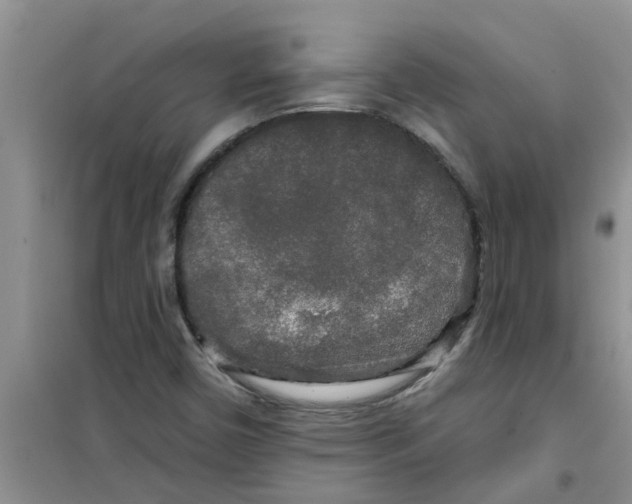 X0000100971450200807221158
