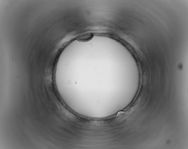 X0000100971451200807221158