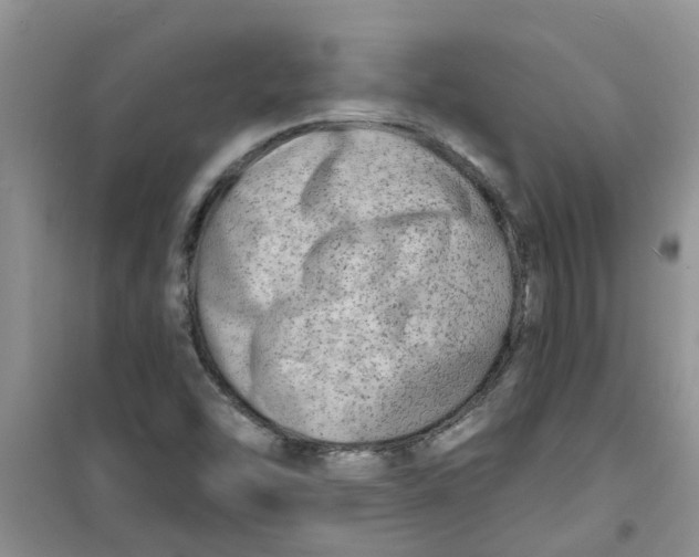 X0000100971454200807221158