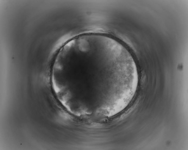 X0000100971455200807221158