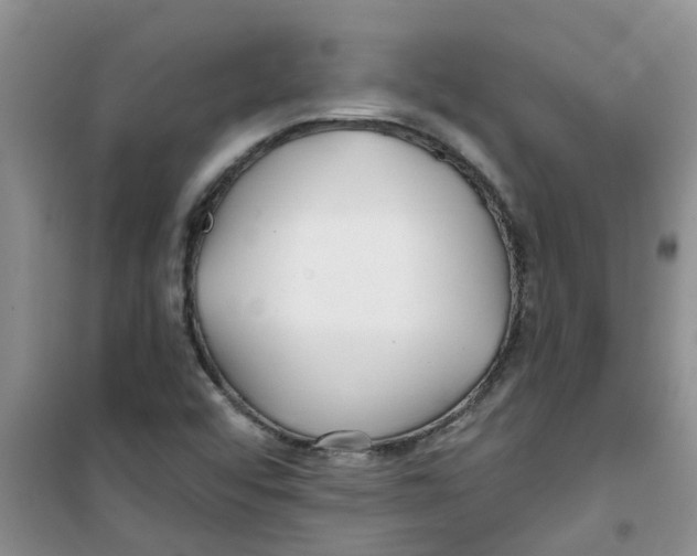 X0000100971456200807221158