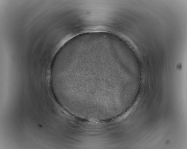 X0000100971457200807221158