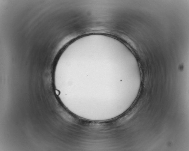 X0000100971458200807221158