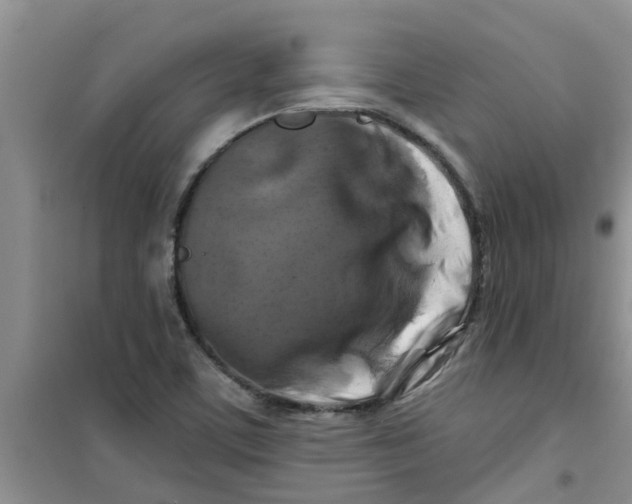 X0000100971459200807221158