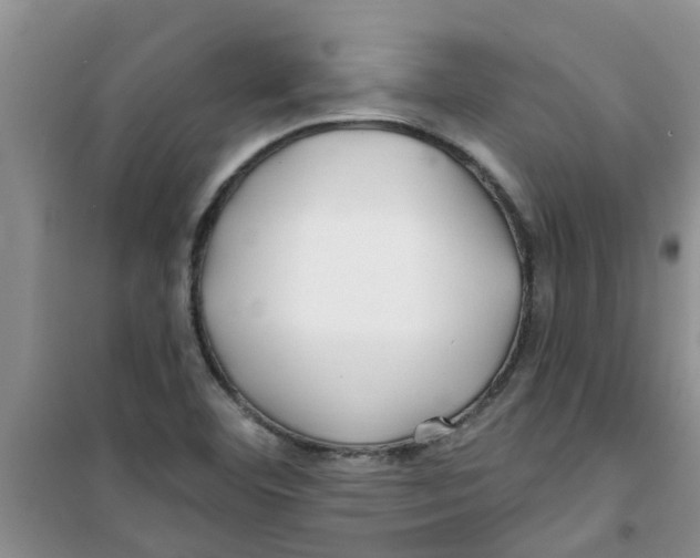 X0000100971460200807221158