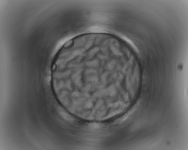 X0000100971461200807221158