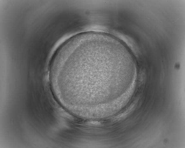 X0000100971462200807221158