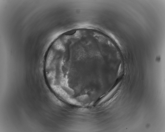 X0000100971463200807221158