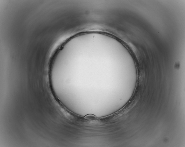 X0000100971464200807221157