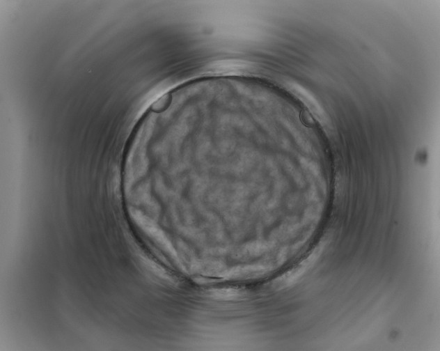 X0000100971465200807221157