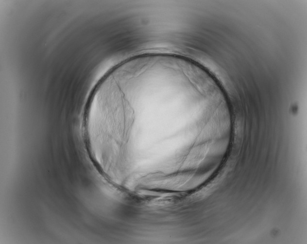 X0000100971466200807221157