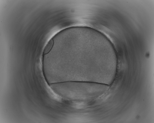 X0000100971468200807221157