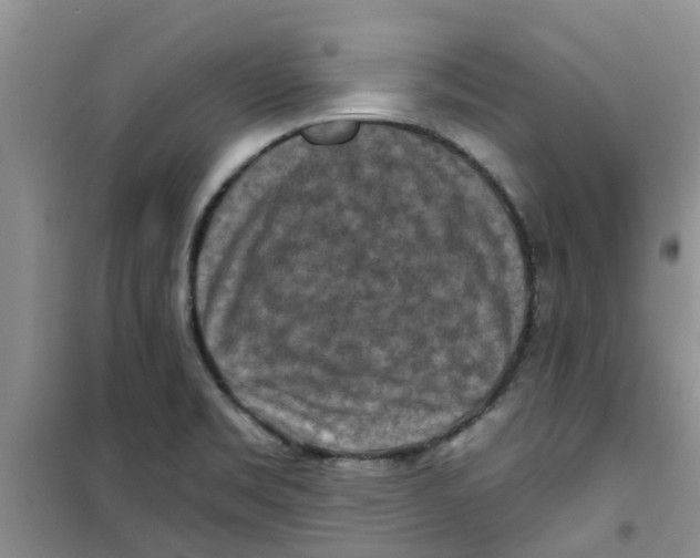 X0000100971469200807221157
