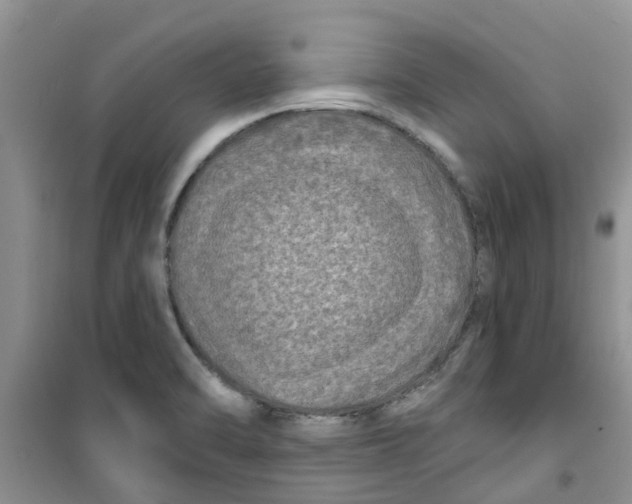 X0000100971470200807221157