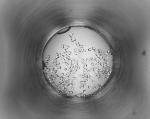 X0000100971473200807221157