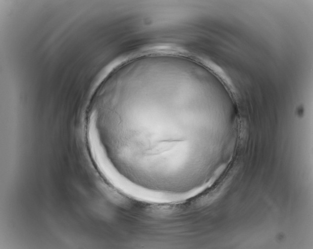 X0000100971474200807221157
