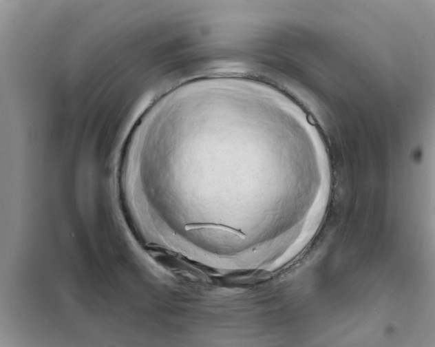 X0000100971475200807221157