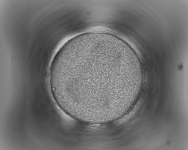 X0000100971478200807221157
