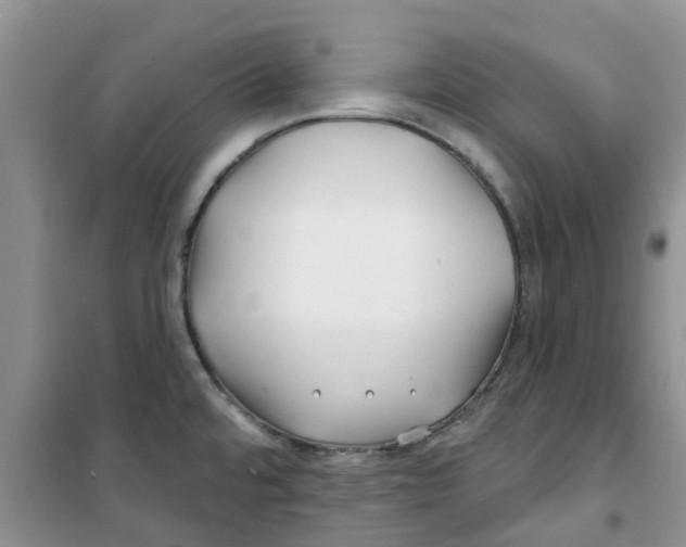X0000100971480200807221157