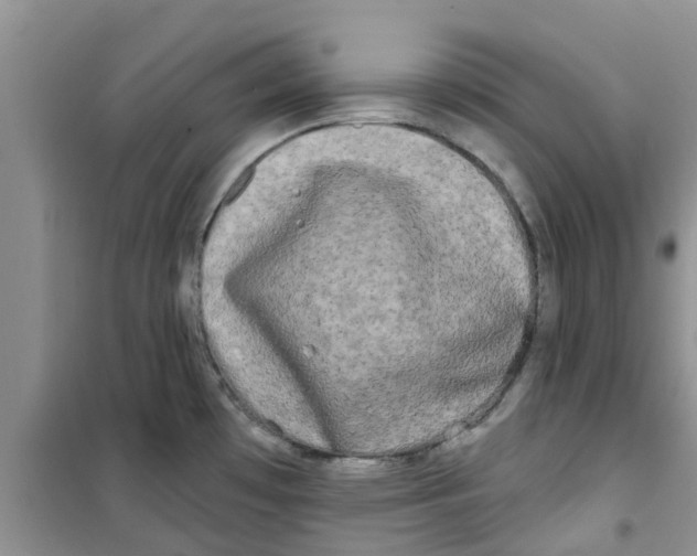 X0000100971481200807221157