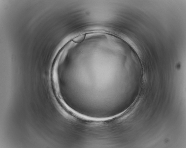 X0000100971482200807221157