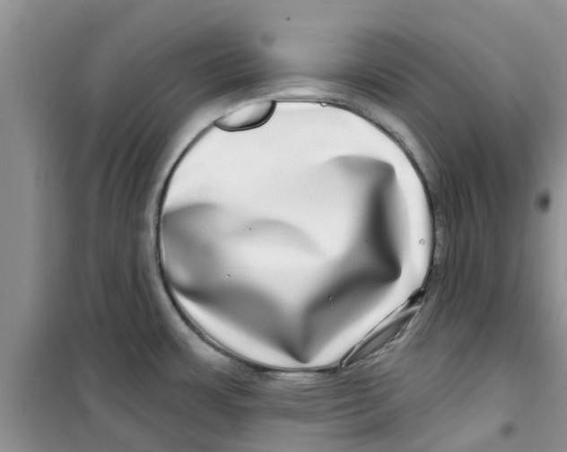 X0000100971483200807221157