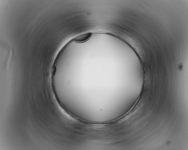 X0000100971484200807221157