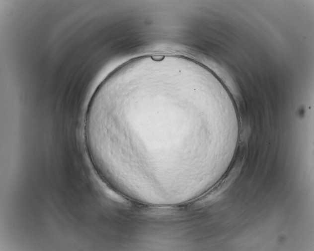 X0000100971486200807221157