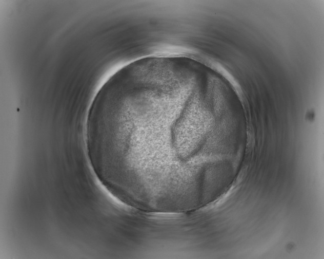 X0000100971487200807221157