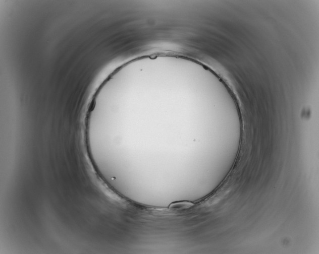 X0000100971488200807221157