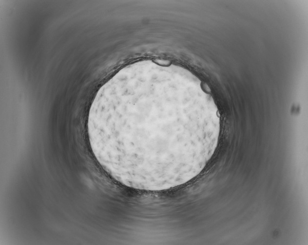 X0000100971489200807221156