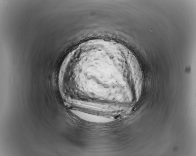 X0000100971490200807221156