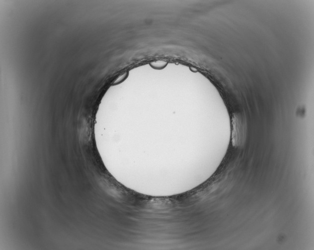 X0000100971491200807221156